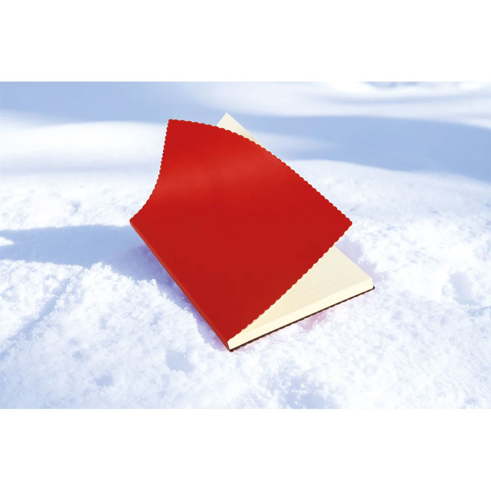 Erciyes-YSL Tarihsiz Defter