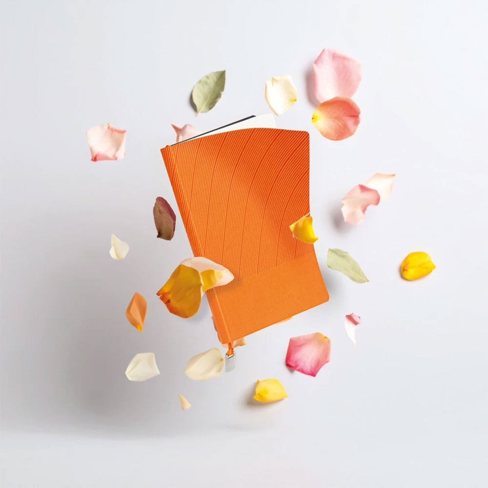 İstinye-MR Tarihsiz Defter