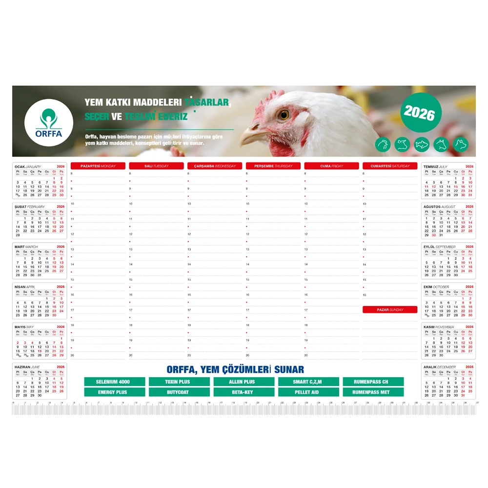 MS-20-40x28 Tarihsiz Masa Sümeni